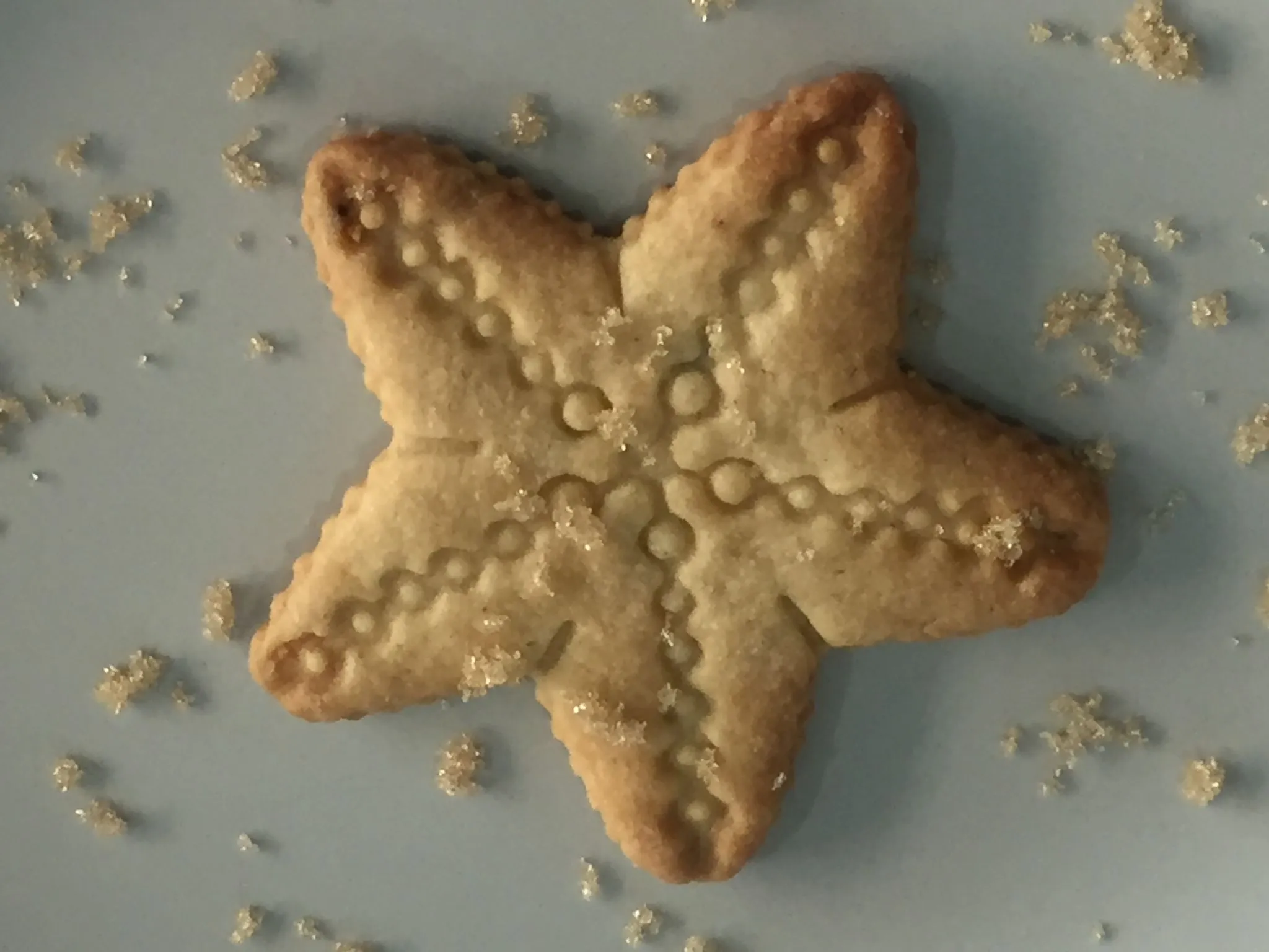 Patas Saladas — foto 4