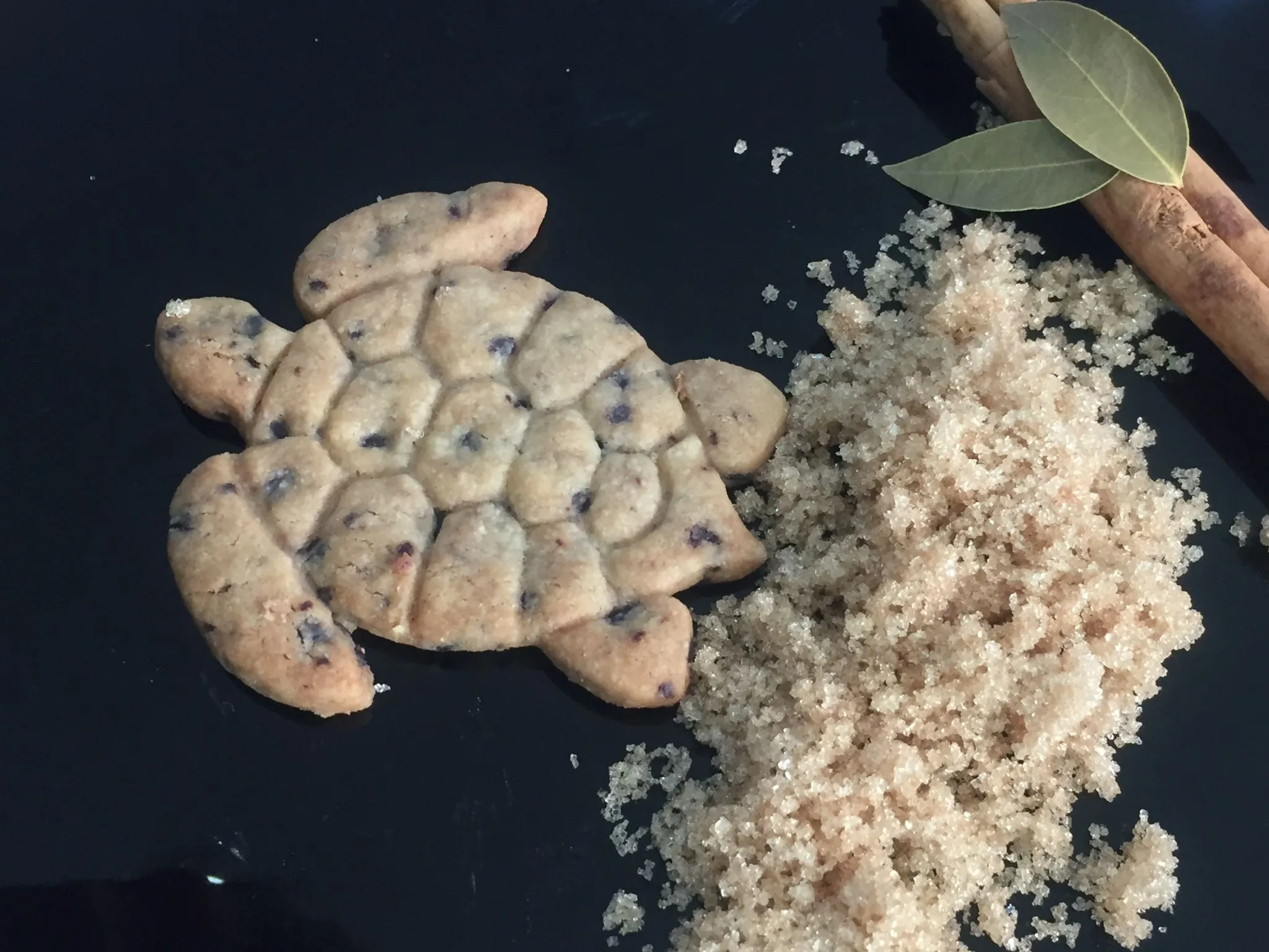 Patas Saladas — foto 6